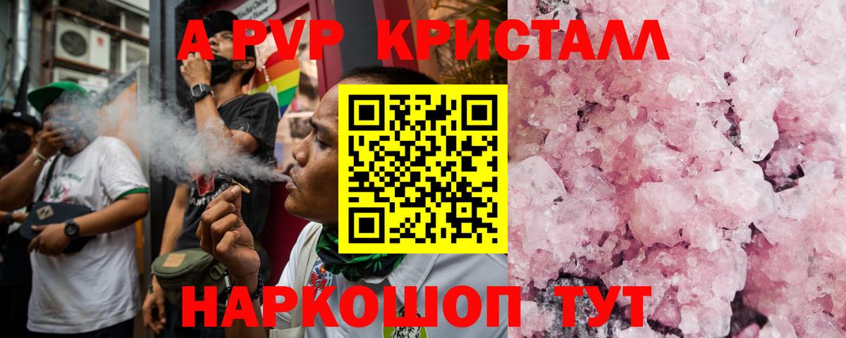 Альфа ПВП СК Бийск