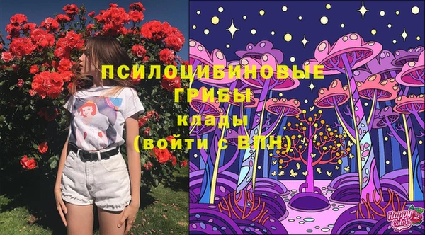 а пвп мука Заводоуковск