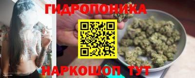 стаф Холмск