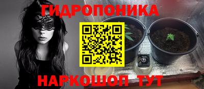 стаф Холмск