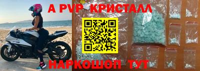 стаф Холмск