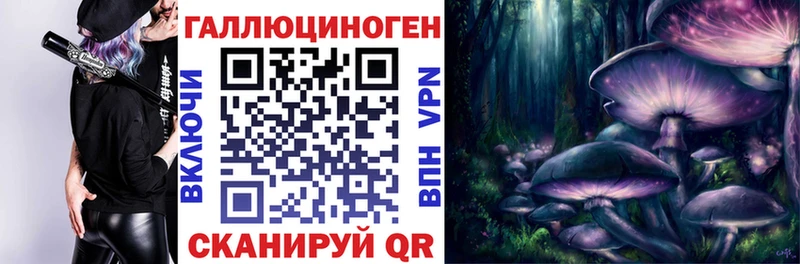 Купить где  Бийск  Псилоцибиновые грибы Psilocybe 