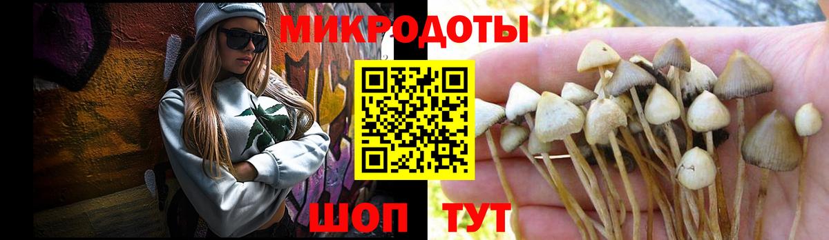 Бийск  Галлюциногенные грибы GOLDEN TEACHER  Вход с VPN 
