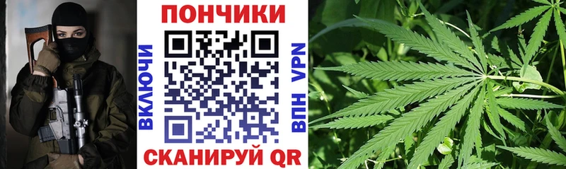 Купить закладки  Бийск  Канабис Bruce Banner 